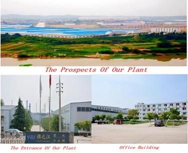 Large Scale Environment Friendly Plastic Recycling Plant in China