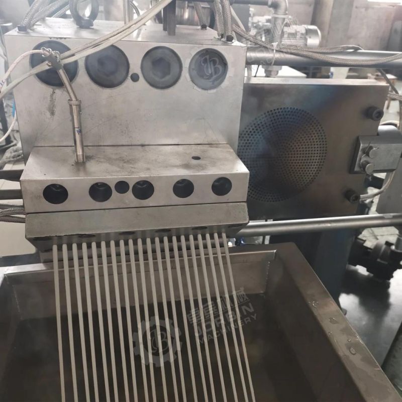 Co-Rotating Twin Screw Extruder Machine for PA Pek