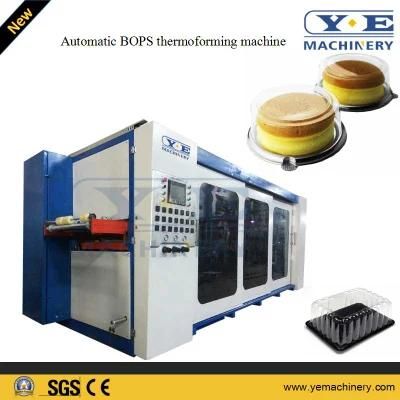 Automatic Plastic Fruit Container Thermoforming Machine with Punching