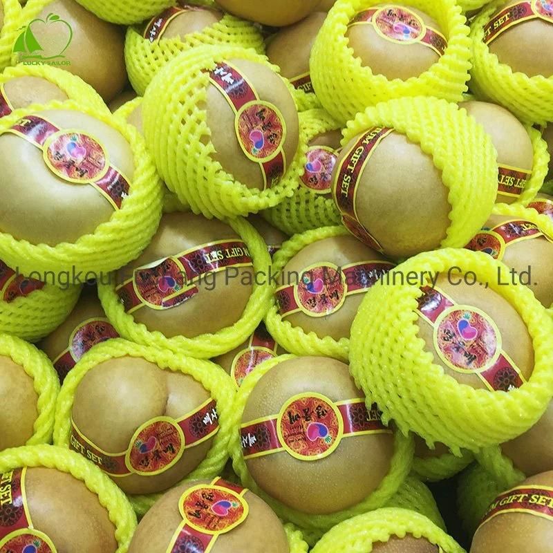 75 Screw Packing Fruit Net Machinery