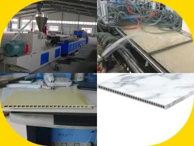 55/110 WPC Panel Extruder