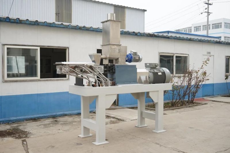 Newly Built Twin-Screw Extruder for Powder Coating