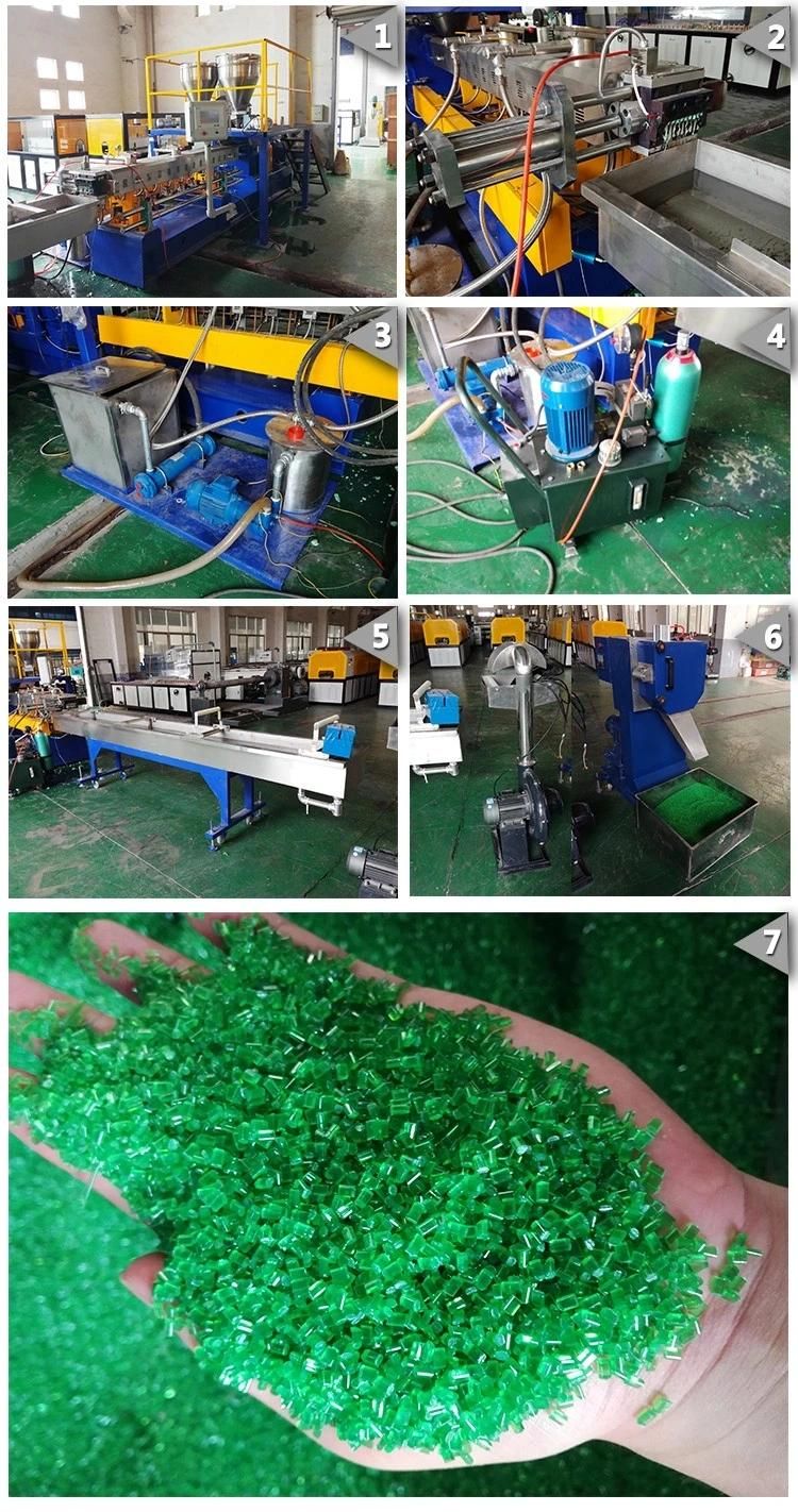 2017 Hot Pet Granules Pellets Pelletizing Machine