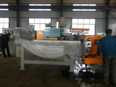 Extrusion System for Powder Coating Processing