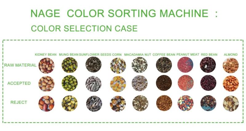 Belt Type Industrial Ore Stone Rose Flower Color Sorting Machine