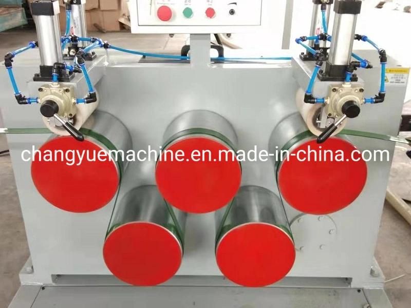 Best Selling Pet Strap Belt Production Line
