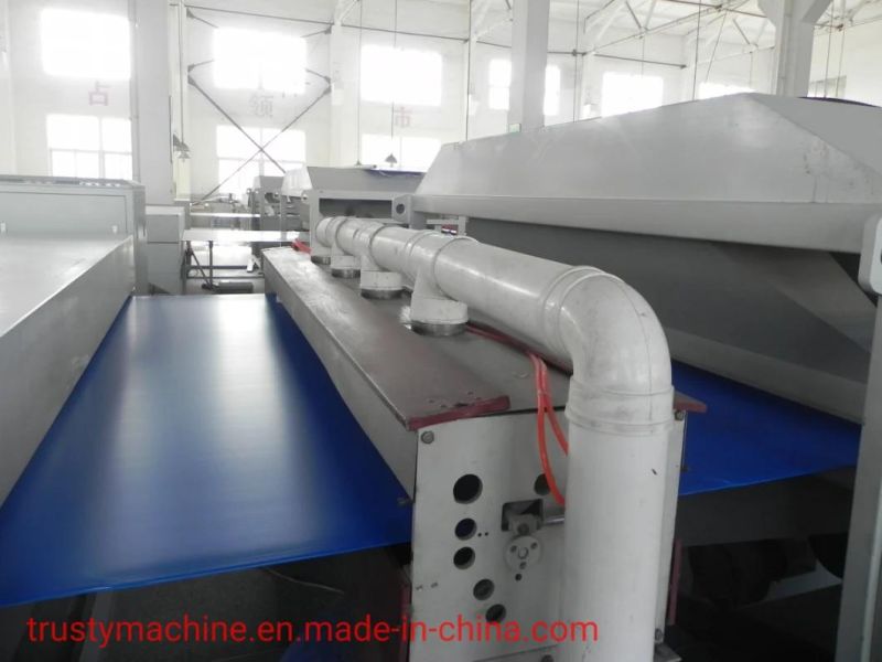 PP, PE Plastic Hollow Plate/Board Extrusion Machine