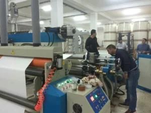 Algeria Customer Extrusion Coating and Laminating Machine for Coating Paper Cup