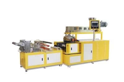 Twin Screw Extruder Plastic Cast Film Casting Sheet Extrusion Making Machine