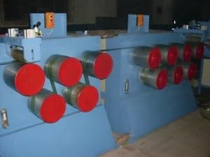 Pet Packing Belt Equipment with Ce Certification