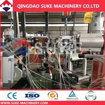 PS Sheet Production Line (SJ90/33) with Ce and ISO