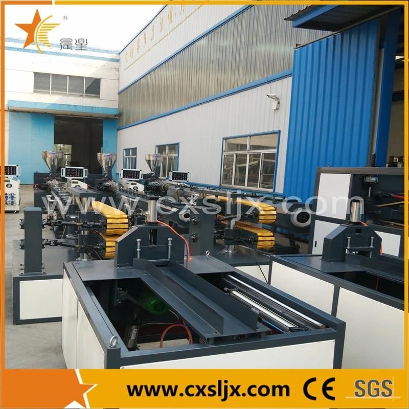 Co-Extrusion Soft and Rigid PVC Sealing Profile Production Line