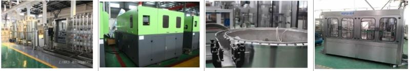 Automatic 4 Cavity Pet Plastic Bottle Molding Blowing Machine