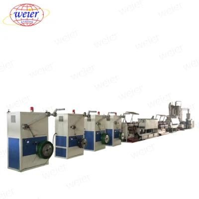 Hot Sale Pet Strapping Extrusion Line Weier Product