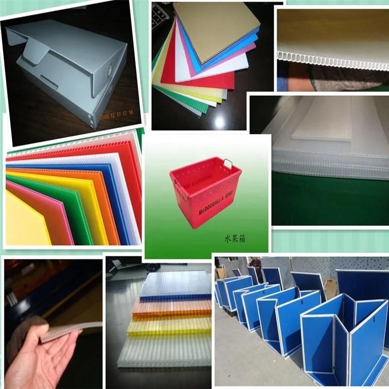 PP/PE Hollow Grid Sheet Plastic Machinery (SJ-120/33) Factory Price