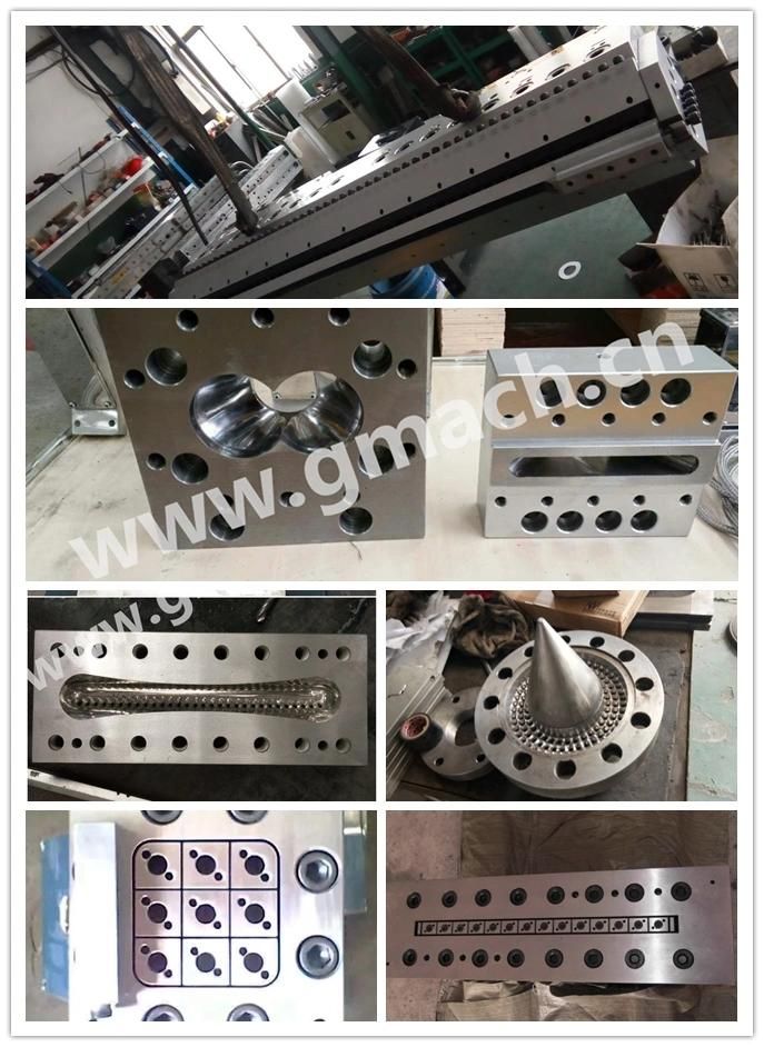 Twin Screw Extruder for Pet Recycling and Compounding