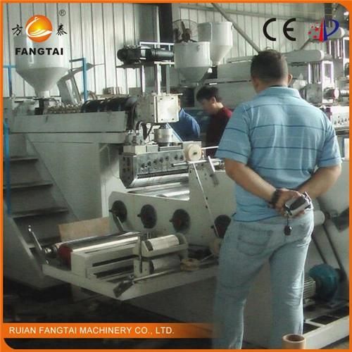 PE Stretch Wrap Film Machine Ft-1000 Single Layer (CE)