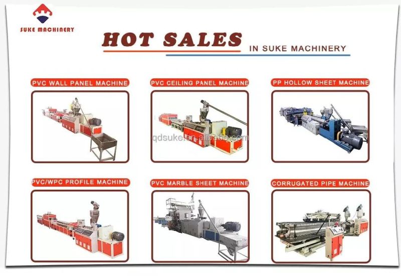 PP Hollow Grid Board Production Machine PC Sunlight Hollow Sheet Produce Line/1/6 Plastic Plate Corrugated Box Making Machine