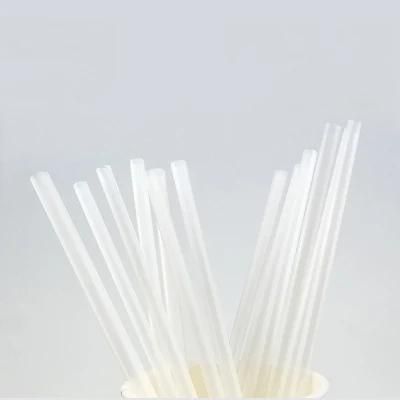 PLA Plastic Extrusion Line Drinking Straws Making Machine/Extruder