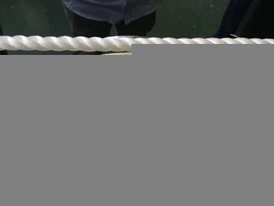 Polypropylene Yarn Rope Twist Machine From Factory