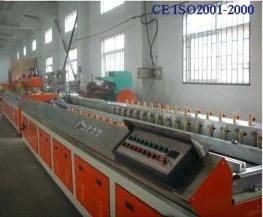 WPC Ceiling Board Machine (SJSZ-65/132)