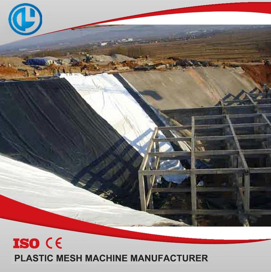 Plastic Geonet Machine with One Extruder From China