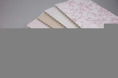 Extruder for Extruded PVC Plastic Profile Panel Wall Decoration Profile Ceiling Wall