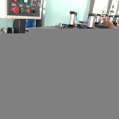 Hot Sale Oversea Pet Strap Belt Production Line