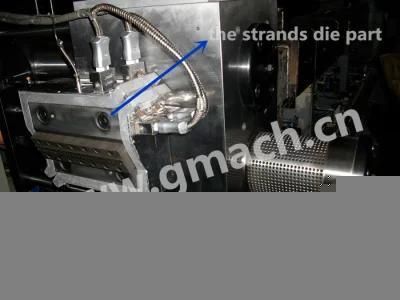 Large Filter Area Continuous Screen Changer for Plastic Extrusion Machine/Extruder