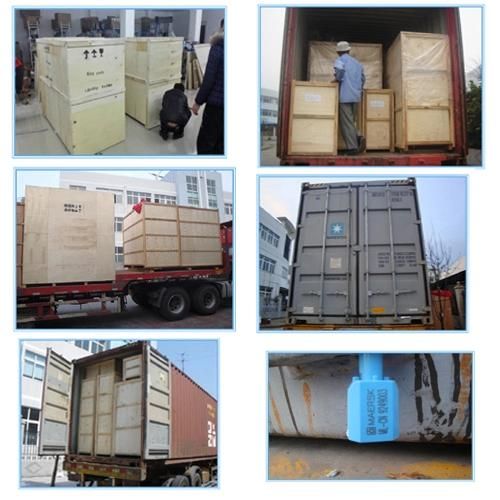 Superior Quality Semi-Auto Blowing Machine Dy-12000A
