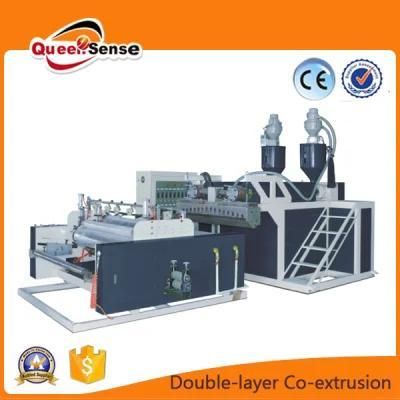 Double-Layer Co-Extrusion Stretch Film Machine (DF-1000)