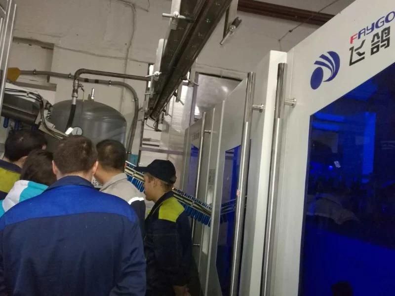 Small Size Blow Molding Machine for Water Bottles