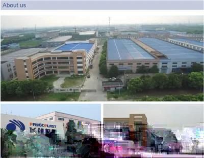 Waste Pet Bottle Flakes Recycling Plant