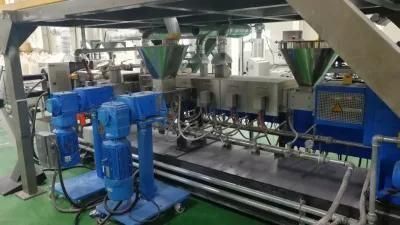 Twin Screw Extruders for Plastic Compounding. to Make Filler Masterbatch