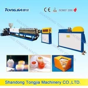 EPE Foamed Foaming Fruit Net Machine