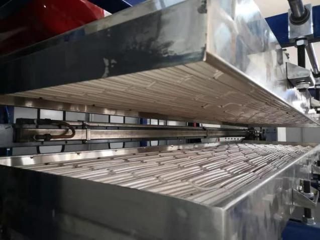 Multifunctional Plastic Cup Thermoforming Machine