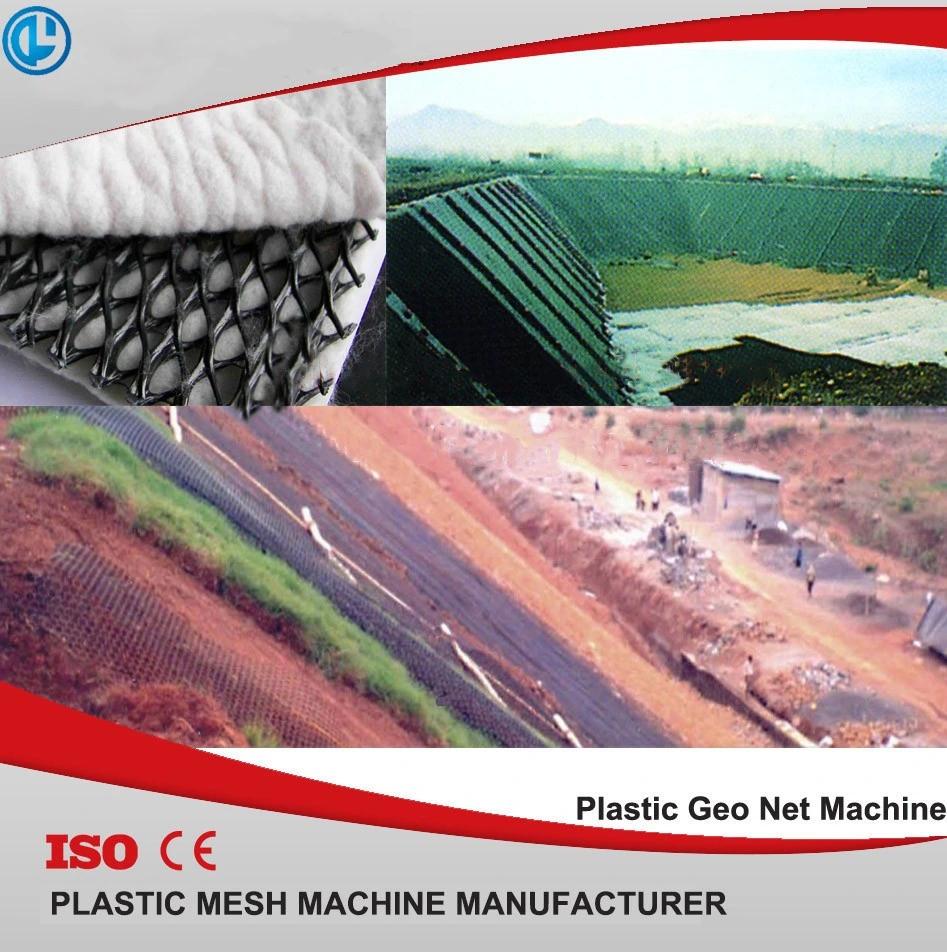 Plastic Geonet Machine with One Extruder From China