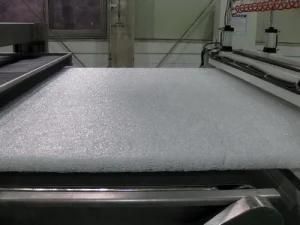 Plastic Pet Mat Production Line