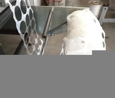 Plastic Fruit Container Thermoforming Machine