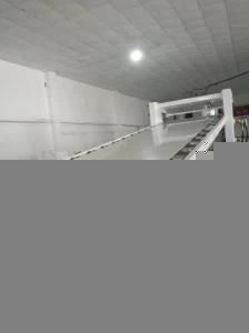 PVC/PP/PE/PS Sheet Production Plastic Extruder/Extrusion Line Equipment