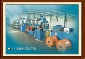 High Speed Extrusion Line 65