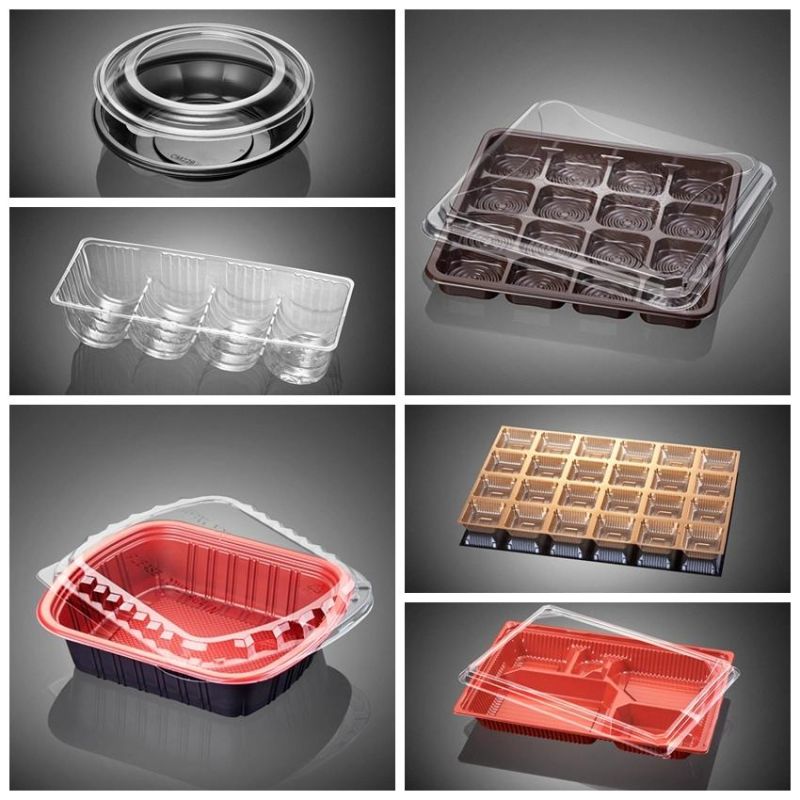 Versatile Intelligent PLC Controll Plastic Pet Cake Tray Thermoforming Machine