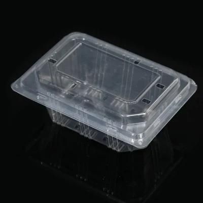 Biodegradable PLA Material Food Container Tray Plastic Cup Lid Automatic Forming Machine