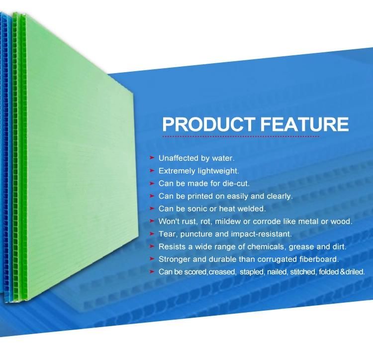 4mm PP Coroplast Plastic Sheet for Floor Protector