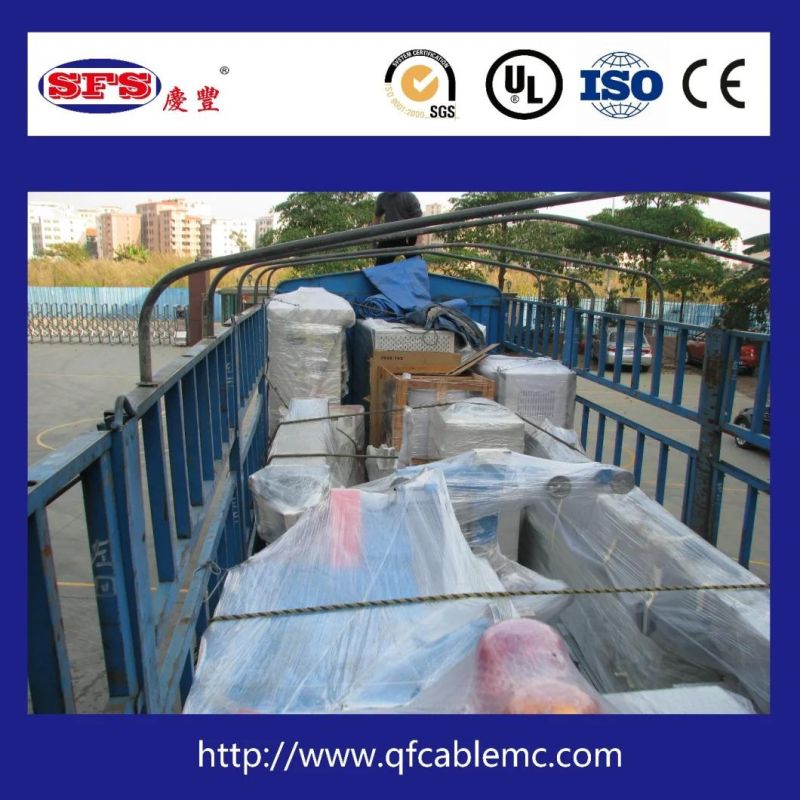 High Quality Big Wire and Cable Processing Irradiation Device for Heat-Shrinkable Tube/Wrapping Tapes/Irradiation Crosslinking Wire and Cable