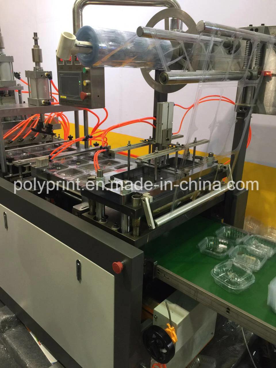 Plastic Cup Lid Steak Cup Tray Thermoforming Machine