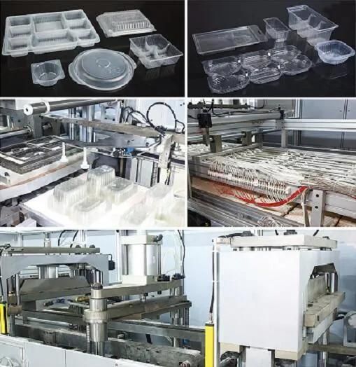 Plastic Disposable Food Box Making Machine Plastic Lunch Box Forming Machine