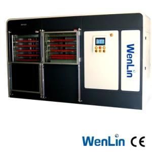 Wenlin PVC Machine Automatic High Speed Plastic PVC Credit Bank Card Laminating Equipment ...