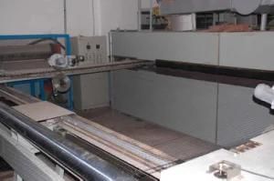 Biaxial Stretched Mesh Machine/ Production Line