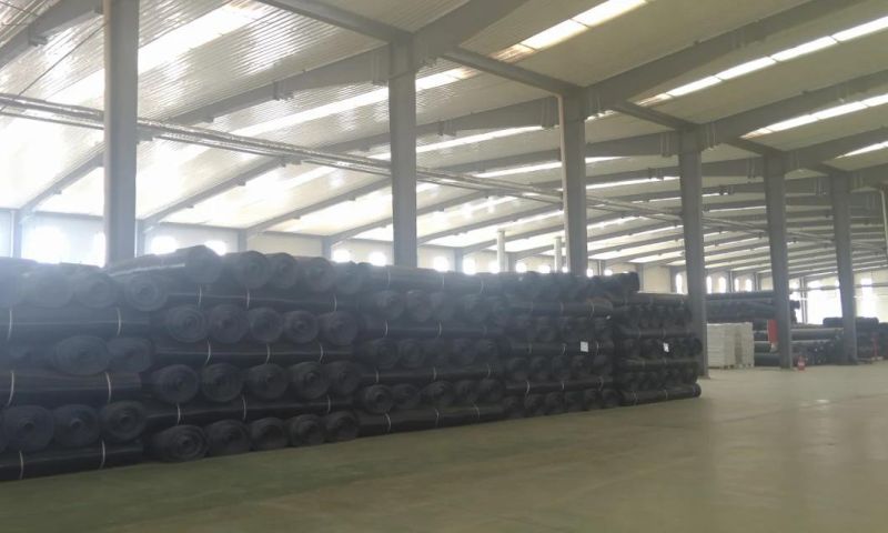 Plastic Extrusion Geogrid Machine Producing 6m Width Geogrid